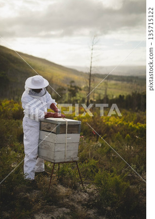 Male beekeeper wearing protective suit and red gloves inspecting hive box on grassy hillside meadow 135715122