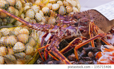 Fresh Lobster, Fish Market, Spain Fresh Lobster, Fish Market, Spain 135715406