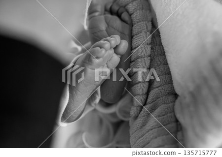 Black and White Close-Up of Newborn Baby Feet Tied Together with Soft Blanket in Gentle Embrace Black and White Close-Up of Newborn Baby Feet Tied Together with Soft Blanket in Gentle Embrace 135715777