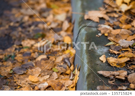 Autumn Leaves Scattered Along a Wet Concrete Curb with Warm Golden and Brown Hues in a Rainy Seasonal Scene Autumn Leaves Scattered Along a Wet Concrete Curb with Warm Golden and Brown Hues in a Rainy Seasonal Scene 135715824