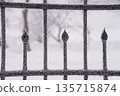 Snow-Covered Iron Fence With Frosty Spikes in Winter Landscape, Dark Metal Against White Background 135715874