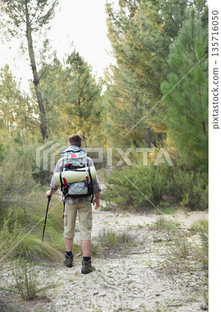 Hiker is walking along sandy pine trail carrying backpack with rolled pad and using trekking pole Hiker is walking along sandy pine trail carrying backpack with rolled pad and using trekking pole 135716050