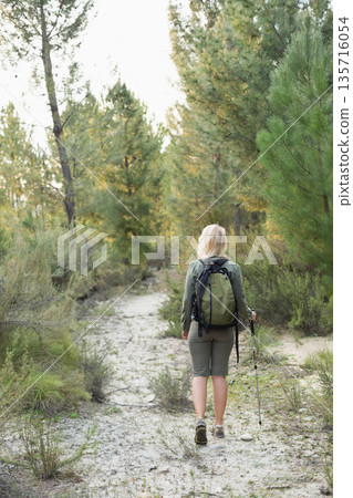 Green backpack and trekking pole resting on narrow sandy trail through pine trees 135716054