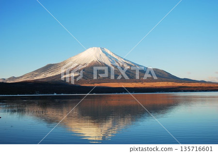 Lake Yamanaka, "W Fuji" 135716601