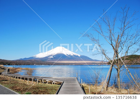Mount Fuji from Lake Yamanaka and Lake Nagaike Mount Fuji from Lake Yamanaka and Lake Nagaike 135716638