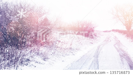 Image of snowflakes over winter landscape at christmas Image of snowflakes over winter landscape at christmas 135716873