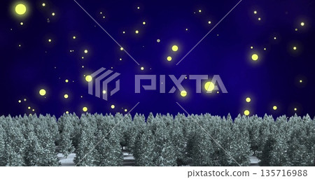 Image of glowing spot lights over christmas trees in winter scenery Image of glowing spot lights over christmas trees in winter scenery 135716988