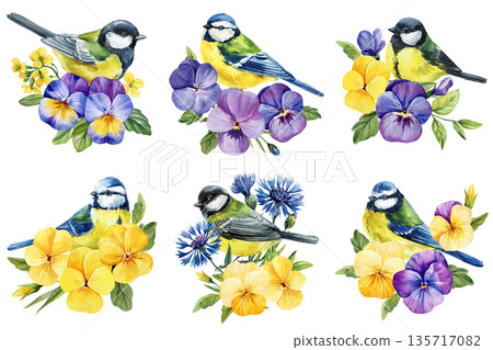 Great tit watercolor set with pansy flowers blue cornflowers and yellow wild blooms with green leaves for spring garden designs Great tit watercolor set with pansy flowers blue cornflowers and yellow wild blooms with green leaves for spring garden designs 135717082