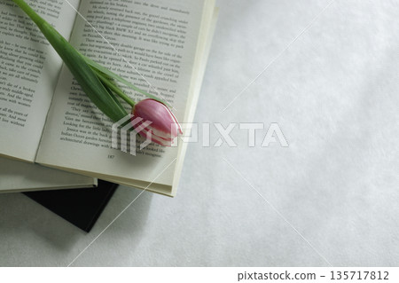 A foreign book and a single tulip. Spring reading image. Horizontal composition. Copy space. A foreign book and a single tulip. Spring reading image. Horizontal composition. Copy space. 135717812