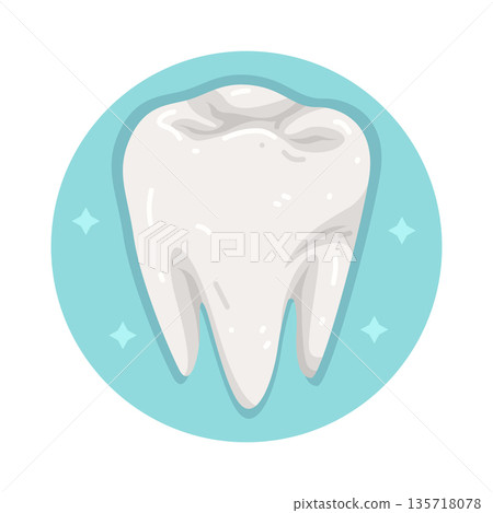 Illustration of human tooth Illustration of human tooth 135718078