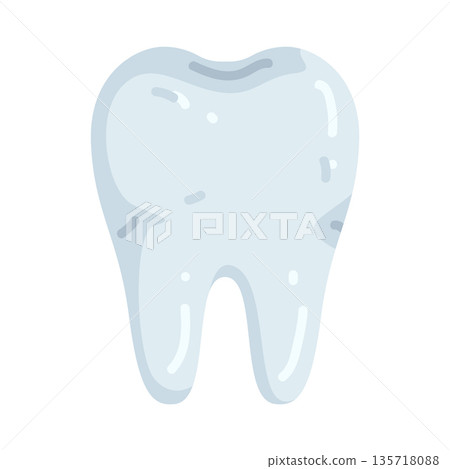 Illustration of human tooth 135718088