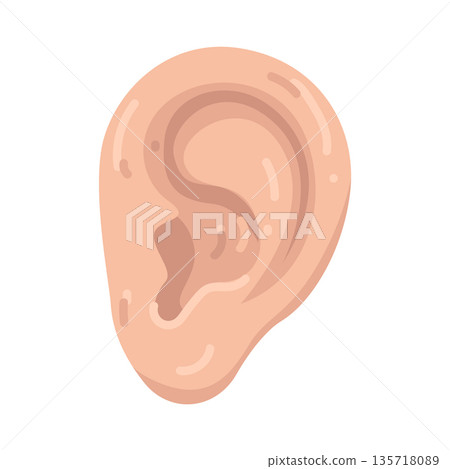 Illustration of human ear 135718089