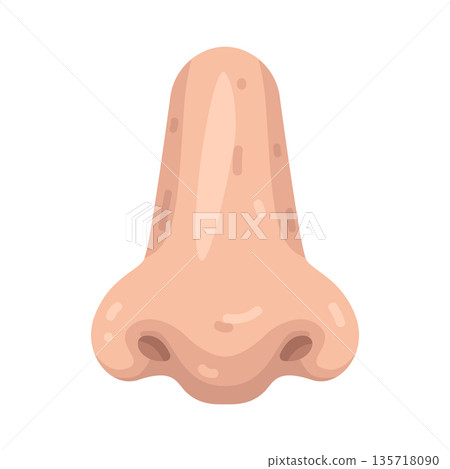 Illustration of human nose 135718090