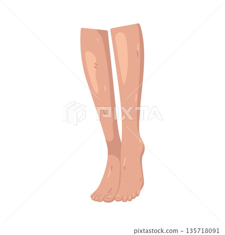 Illustration of leg Illustration of leg 135718091