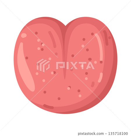 Illustration of tongue Illustration of tongue 135718100