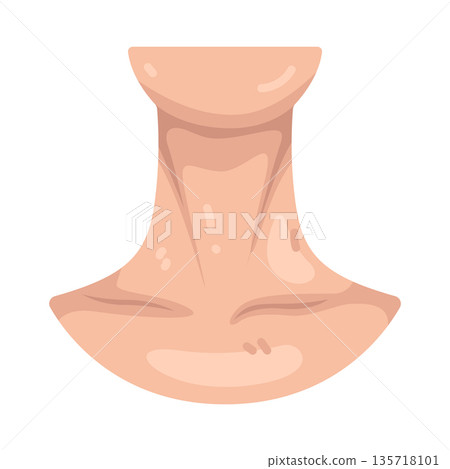 Illustration of neck Illustration of neck 135718101