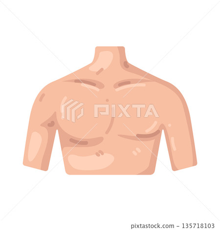 Illustration of torso Illustration of torso 135718103