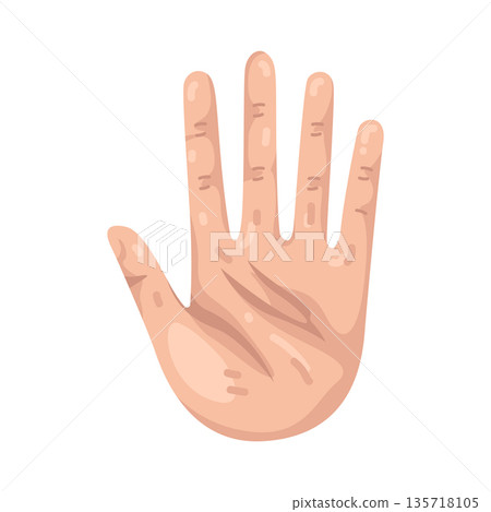 Illustration of hand Illustration of hand 135718105