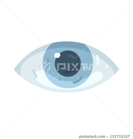 Illustration of human eye Illustration of human eye 135718107