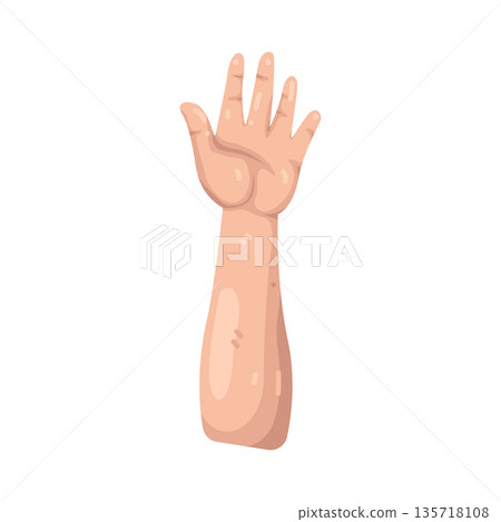 Illustration of arm Illustration of arm 135718108