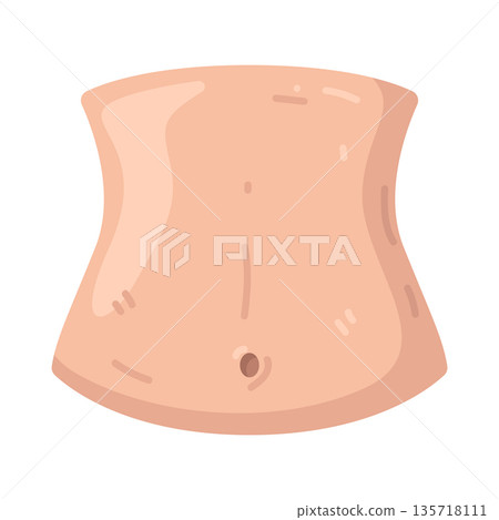Illustration of belly Illustration of belly 135718111