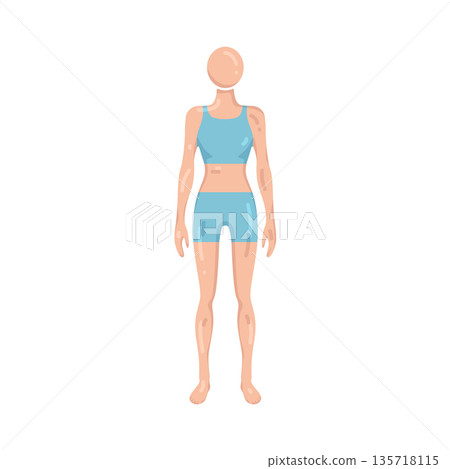 Illustration of female body Illustration of female body 135718115