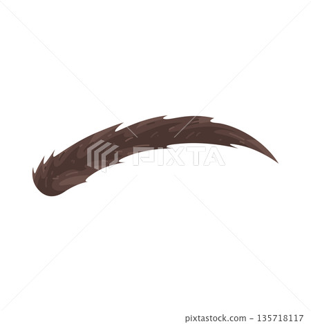 Illustration of eyebrow Illustration of eyebrow 135718117