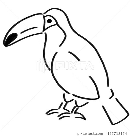 一隻大嘴鳥的單色插圖 135718154