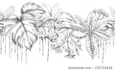 A seamless border with twisting vines, leaves, and tropical flowers. Isolated pencil illustration for home and hotel interiors, flower shops, and travel agencies. A seamless border with twisting vines, leaves, and tropical flowers. Isolated pencil illustration for home and hotel interiors, flower shops, and travel agencies. 135718248