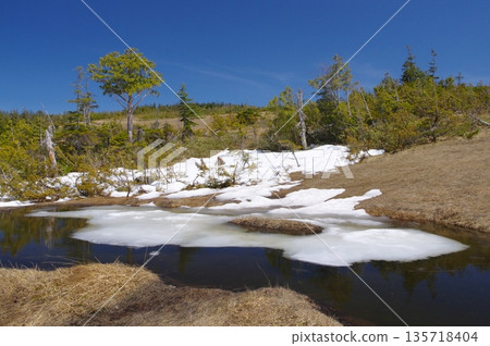 尾瀨的春天－橫田代濕地池塘，殘雪未消。 135718404