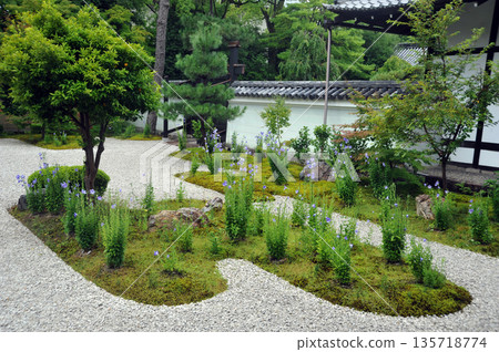 Kyoto Rush Yamadera Kichiro的花園 135718774