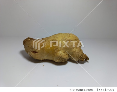 Single Ginger Root on White Surface Close-up of a single piece of fresh ginger root placed on a plain white surface with a neutral background. The ginger rhizome displays a rough, knobby texture and l Single Ginger Root on White Surface Close-up of a single piece of fresh ginger root placed on a plain white surface with a neutral background. The ginger rhizome displays a rough, knobby texture and l 135718905