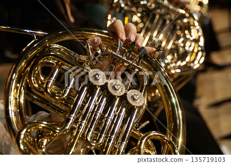 instrument, music instrument, musical instrument 135719103