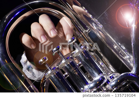 Playing the tuba Playing the tuba 135719104