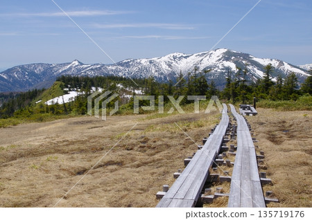 春天從尾瀨橫田代濕地看到的志布津山,山上仍殘留著積雪。 春天從尾瀨橫田代濕地看到的志布津山,山上仍殘留著積雪。 135719176