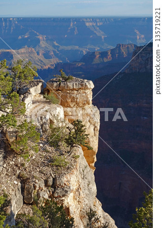 Grand Canyon North Rim (Evening view from the Grand Canyon Lodge area) 135719221