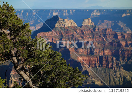 大峽谷北緣（從大峽谷旅館區看到的傍晚景色） 135719225