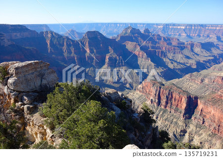 Grand Canyon North Rim (Stunning views around Grand Canyon Lodge) Grand Canyon North Rim (Stunning views around Grand Canyon Lodge) 135719231