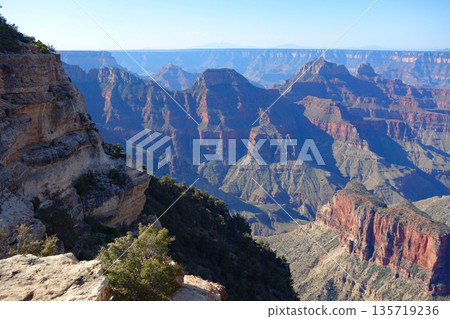 Grand Canyon North Rim (Stunning views around Grand Canyon Lodge) 135719236