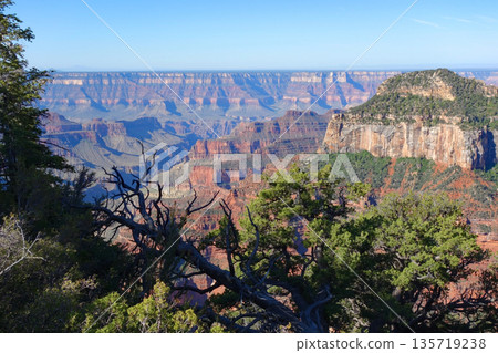 大峽谷北緣(大峽谷旅館周圍景色壯麗) 大峽谷北緣(大峽谷旅館周圍景色壯麗) 135719238