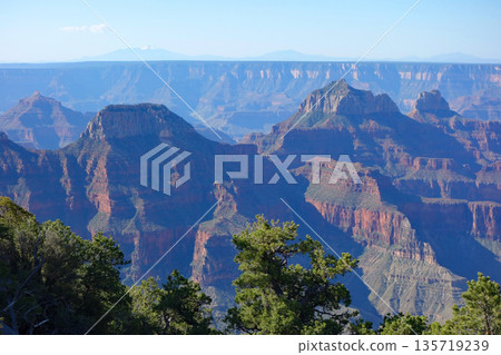 Grand Canyon North Rim (Stunning views around Grand Canyon Lodge) 135719239