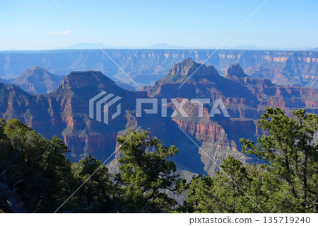 大峽谷北緣（大峽谷旅館周圍景色壯麗） 135719240
