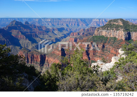 大峽谷北緣（大峽谷旅館周圍景色壯麗） 135719242