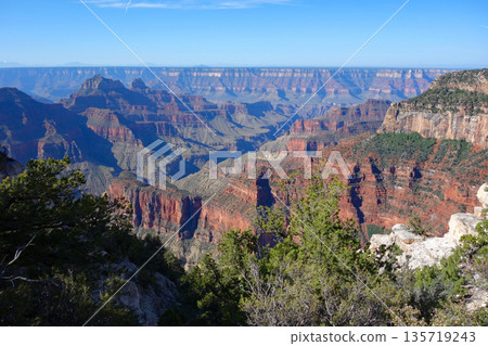 大峽谷北緣（大峽谷旅館周圍景色壯麗） 135719243