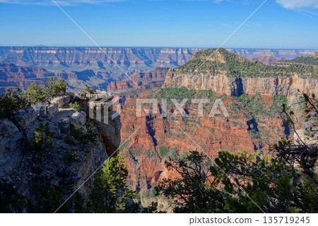 大峽谷北緣（大峽谷旅館周圍景色壯麗） 135719245
