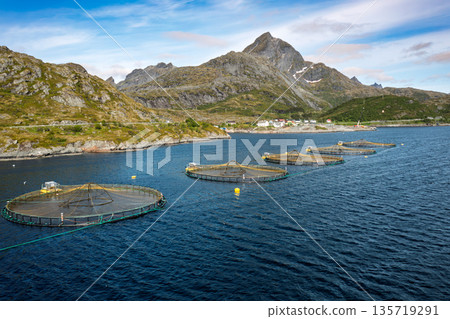 Farm salmon fishing in Norway. Norway is the biggest producer of farmed salmon in the world. Farm salmon fishing in Norway. Norway is the biggest producer of farmed salmon in the world. 135719291