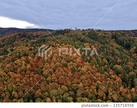 early morning haze in scenic valley, misty morning scenery featuring foggy hills and peaceful fields 135719356