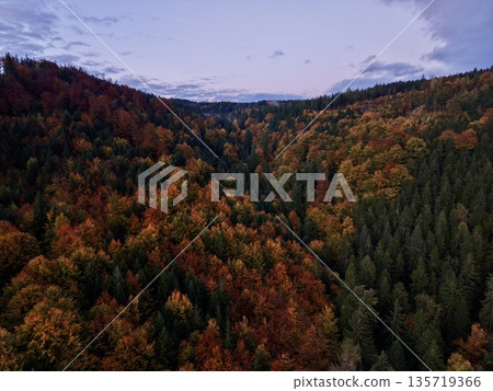 serene forest during evening dusk, dramatic aerial view of valley surrounded by diverse trees at dusk serene forest during evening dusk, dramatic aerial view of valley surrounded by diverse trees at dusk 135719366