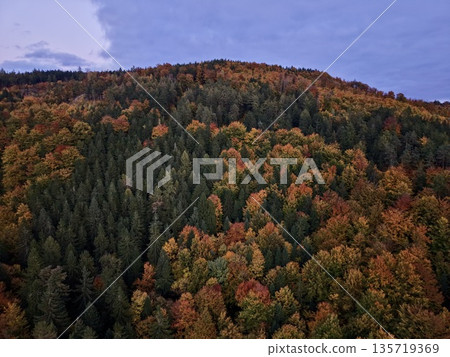 cloudy forest scene, muted colors and subdued light evoke serenity in sprawling forested hill region cloudy forest scene, muted colors and subdued light evoke serenity in sprawling forested hill region 135719369