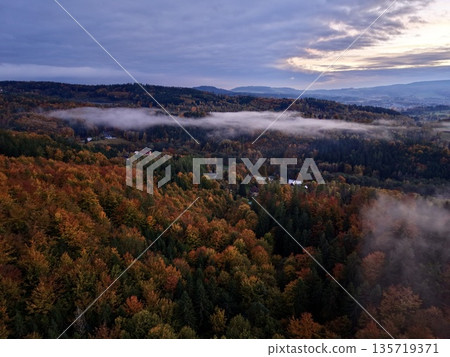 dawn autumn landscape, serene morning with misty hills, gentle sunrise over lush forested slopes 135719371